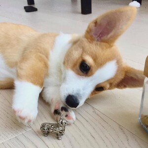 Corgi Wireframe Bottle Opener Keychain image 4