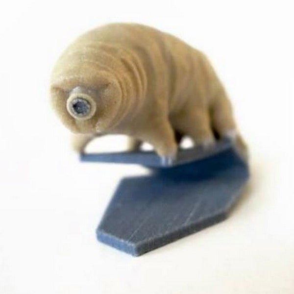 Tardigrade (Water Bear) Sculpture