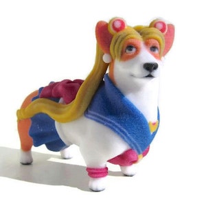 Sailor Moon Corgi