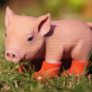 Piglet In Red Boots