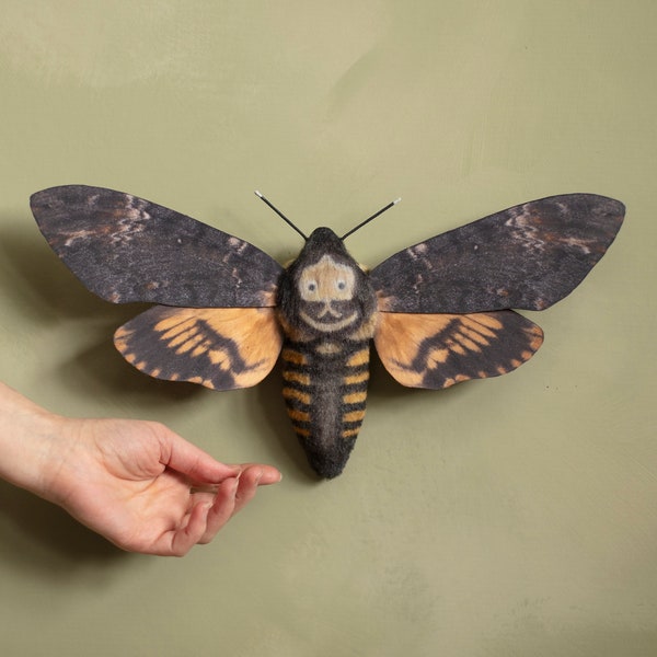 14.5x8 inch Death's Head Hawk Moth "Acherontia Atropos" : Textile Soft Sculpture Moth