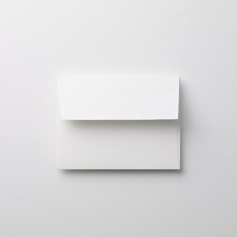 May include: A white envelope with a flap.