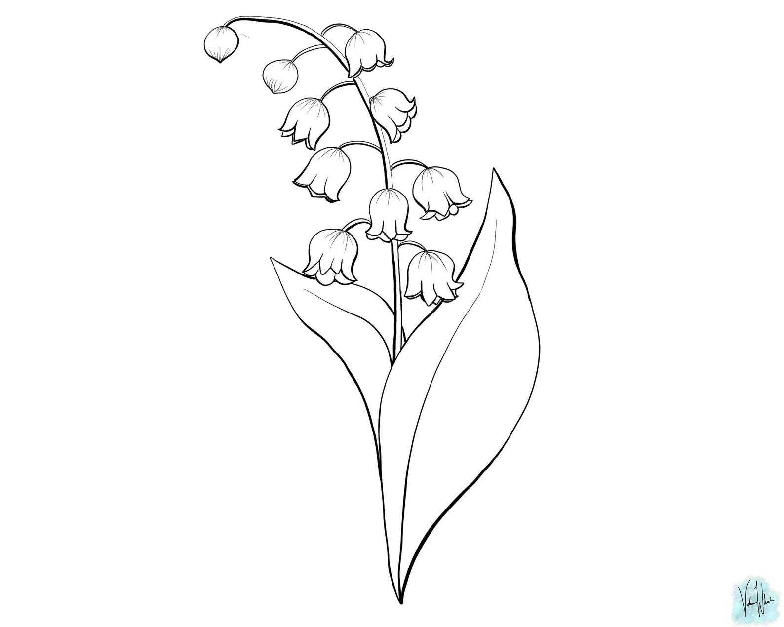 Lily of the Valley Botanical Print May Etsy