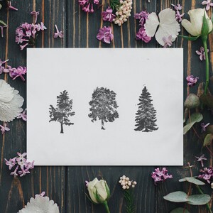 10-pc Minimal Tree Design Notecards 4"x6", Black and White Cards, Resealable Matching Envelopes Included