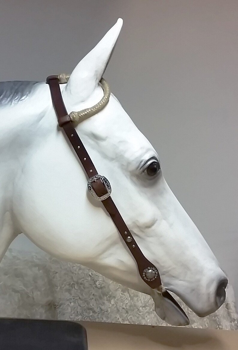 Headstall Bridle Tack Horse Tack One Ear Rawhide on Etsy