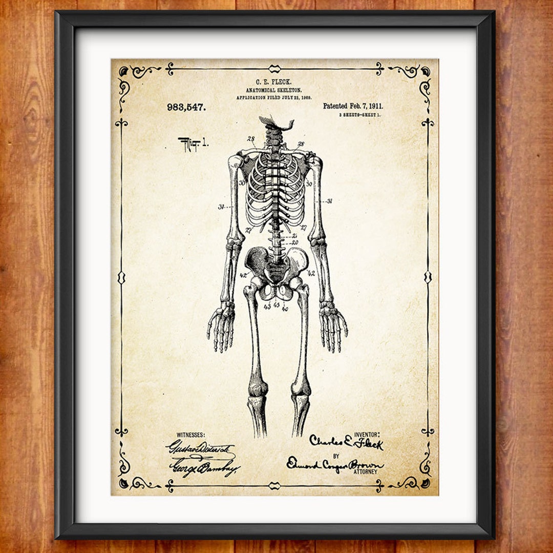 Human Skeleton Antique Anatomy Wall Art Poster Human Skeleton Poster ...