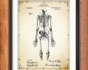 Human Skeleton Antique Anatomy Wall Art Poster - Human Skeleton Poster - Medical Student Gift Idea - Antique Anatomy Home Decor - 1303