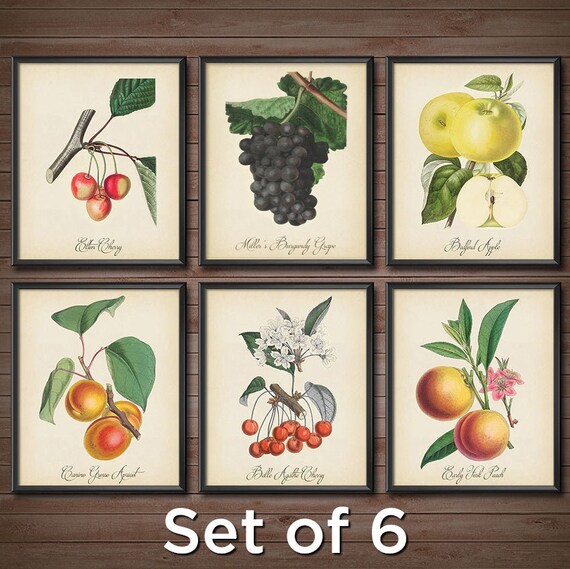 Vintage Botanical Art Prints SET Vintage Botanical Art | Etsy