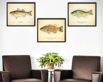 Home Decor Fishing Kids Room Bass Fish Fishing Interior Wallpaper Coffee  Wall Decals Decor Vinyl Sticker IR0919