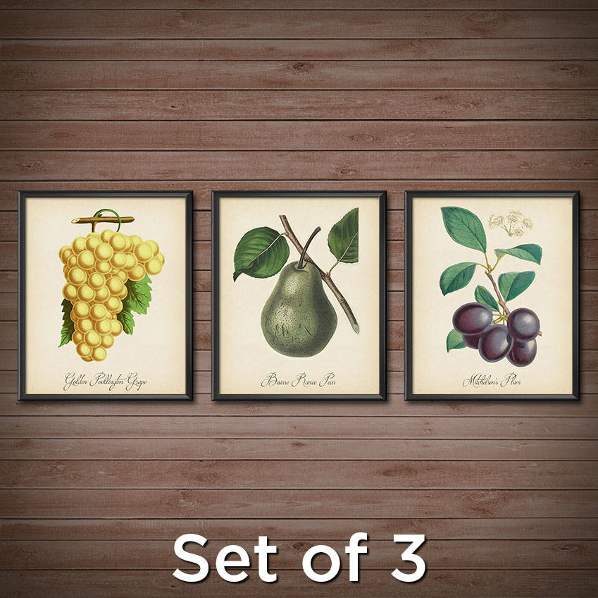 Kitchen Wall Art Wall Decor SET Vintage Botanical Art Prints Etsy