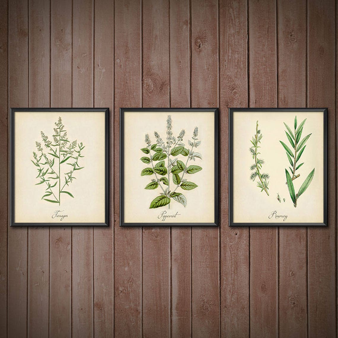 Kitchen Decor Set Herbs SET OF 3 Kitchen Decor Wall Art Set - Etsy