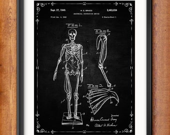 Human Skeleton Poster - Human Skeleton Antique Anatomy Wall Art Poster - Medical Student Gift Idea - Antique Anatomy Home Decor - 1302