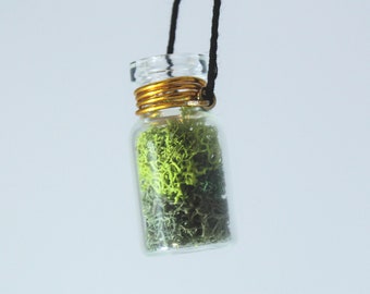 Moss Terrarium Bottle necklace pendant | Plant Lovers Necklace, Moss Jewelry | Forest Fairy, Natural Jewelry, irish Moss, Bridesmaid gifts