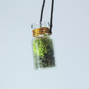 Moss Terrarium Bottle necklace pendant | Plant Lovers Necklace, Moss Jewelry | Forest Fairy, Natural Jewelry, irish Moss, Bridesmaid gifts
