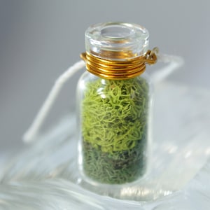 Moss Terrarium Necklace | Plant Lover's Necklace, Green Reindeer Moss Jewelry | Tiny Bottle Miniature Pendant, Forest Fairy, Natural Jewelry