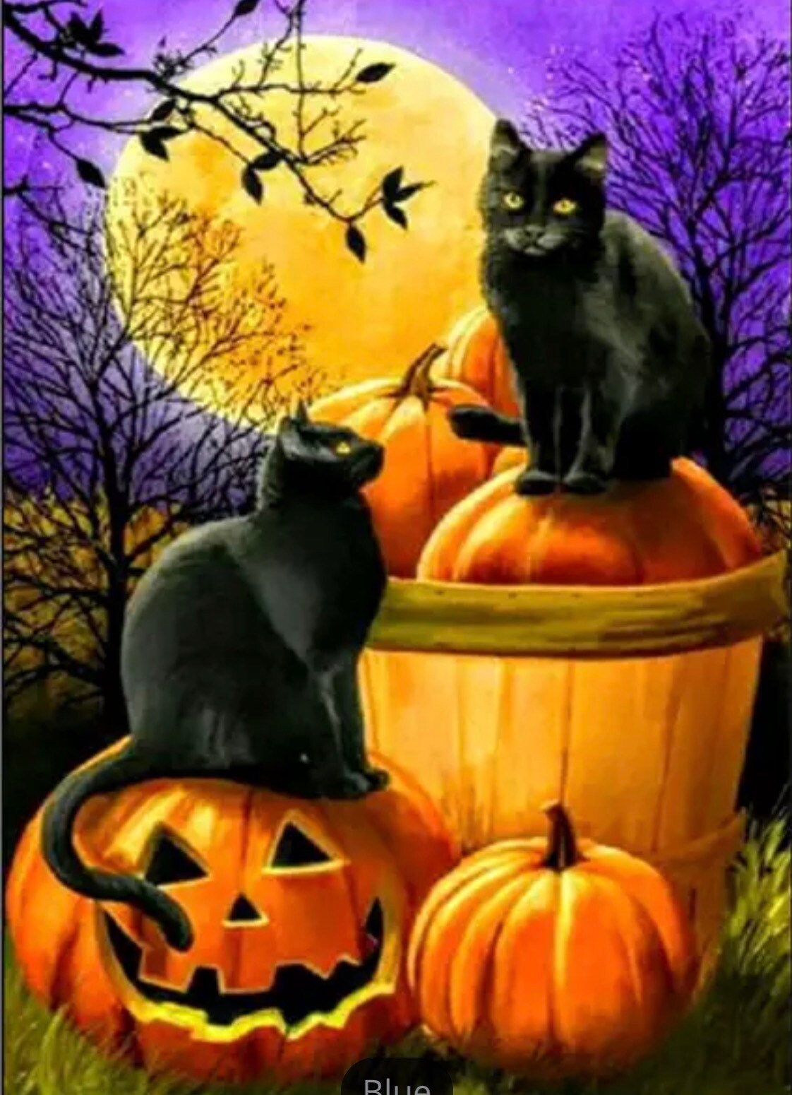 US Seller. 40x30cm Halloween Black Cats Pumpkins Full Moon Etsy