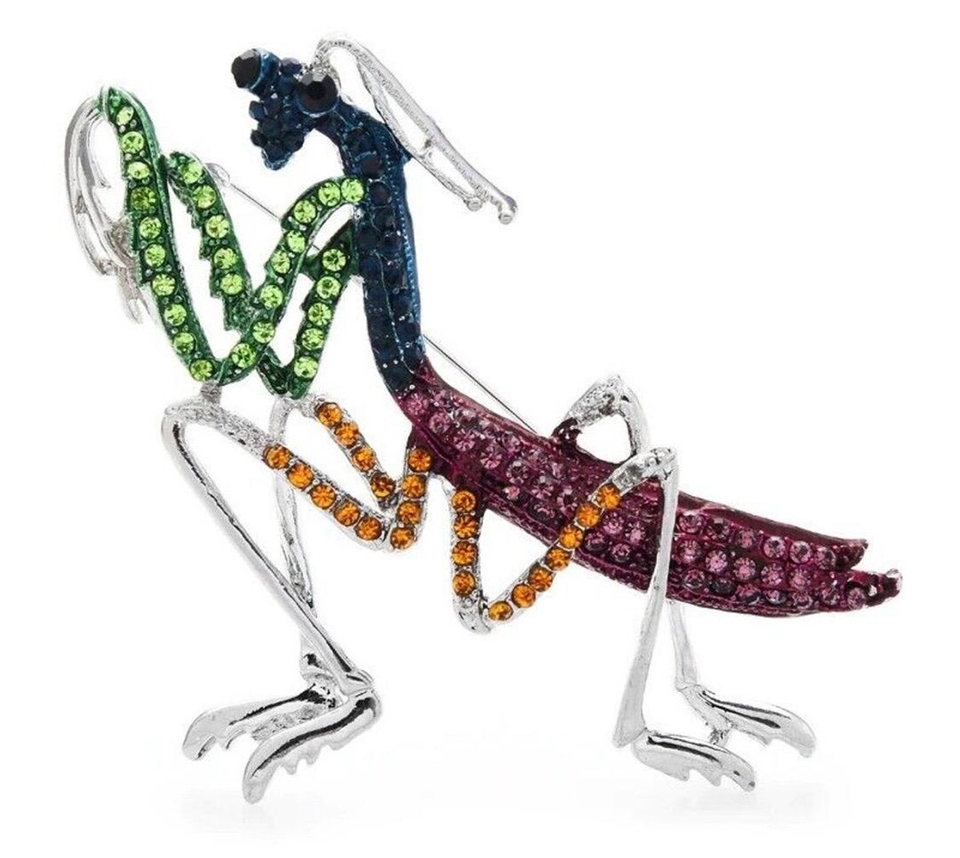 Dazzling Large Praying Mantis Statement Brooch, Jewelry, Stylish ...
