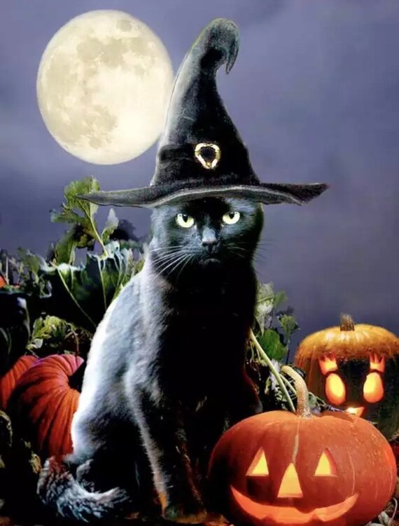 US Seller. 50x40cm. Black Cat Witch Hat 