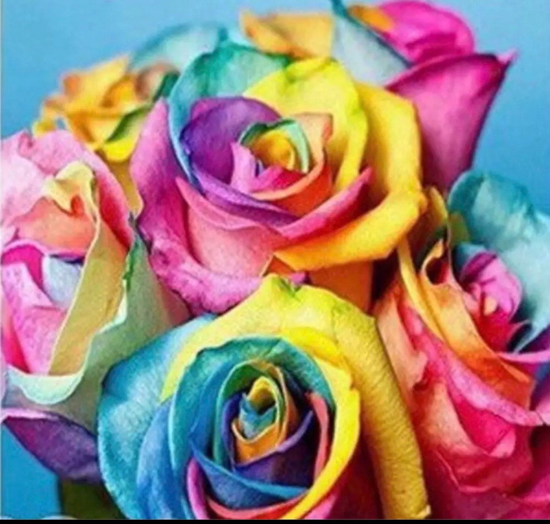 Dyed Multi Colored Roses US Seller. 40x40cm Colorful Multi Color Roses, DIY, Diamond Plants ...
