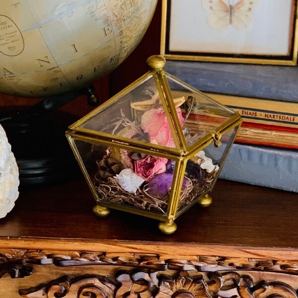 Handmade Dried Flower and Seashell Arrangement Vintage Magical Terrarium