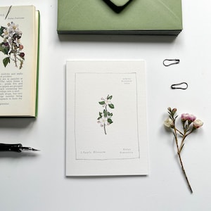 Conjunto de cartões de visita Spring Blossom ~ Ilustrado à mão ~ Conjunto de 6