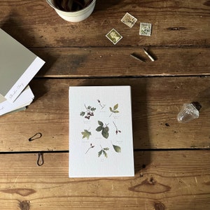 Ensemble de cartes postales d’automne ~ Illustration de feuilles et de baies d’automne