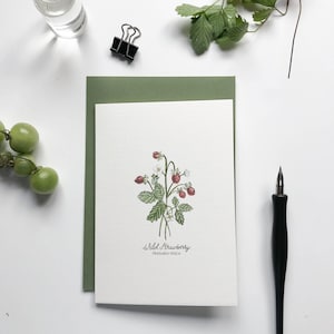 Carte pour notes botanique fleurs sauvages fraise des bois