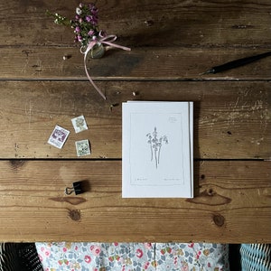 Cartes postales botaniques Fleurs printanières ~ Illustrées à la main ~ Lot de 6