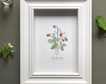 Wild Strawberry Botanical Print ~ Hand Illustrated ~ British woodland plant ~ Art Print