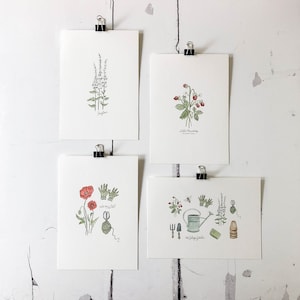May include: Set of four botanical illustrations featuring a wild strawberry, a poppy, a sprig of forget-me-nots, and a sprig of  'into the wild' text. The illustrations are printed on white card stock and are perfect for framing.