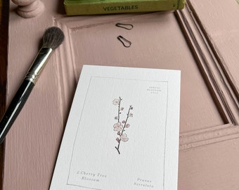 Spring Blossom Postcard Set ~ Hand Illustrated ~ Set of 6