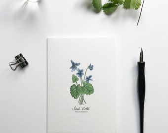 Juego de tarjetas ilustradas a mano con flores silvestres botánicas