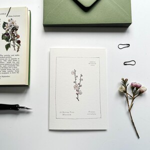 Cartão de visita de primavera com flor de cerejeira ~ Ilustrado à mão ~ Em branco por dentro