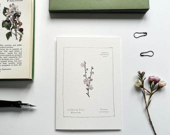 Cherry Blossom Spring Notecard ~ Hand Illustrated ~ Blank Inside
