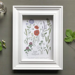 British Wildflower Botanical Chart ~ Wiesengräser & Wildblumen ~ Giclée Art Print