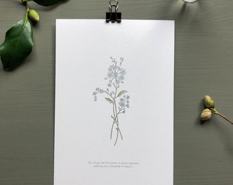 Forget Me Not Flower Print, Hand Illustrated Botanical Art, A5 Size