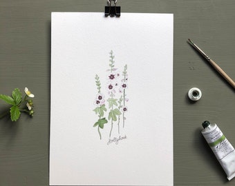 Cottage Garden Flower Print Set ~ A5 Giclée Prints ~ Hand Illustrated flowers