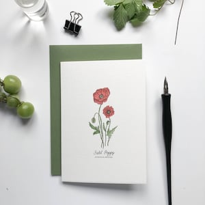 Carte pour notes/carte de voeux botanique fleurs sauvages pavot des champs