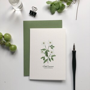 Carte pour notes botanique fleurs sauvages anémone des bois Carte de voeux