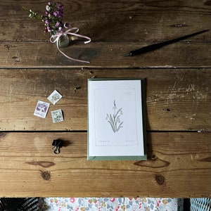 Spring Flowers Notecard Set ~ Illustré à la main ~ Ensemble de 6 cartes