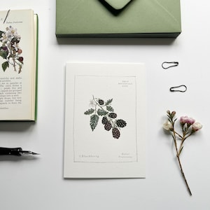 Set di biglietti per appunti botanici di frutta ~ Illustrati a mano ~ Set di 6