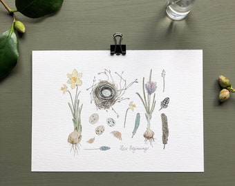Spring New Beginnings Art Print, A4 or A5 size, Illustrated Nature, Giclée printed