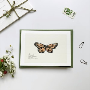 Set di biglietti per appunti con farfalle ~ illustrato a mano ~ stampato su carta di cotone al 100%.