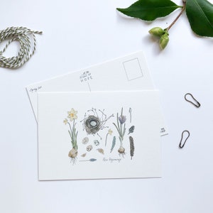 新たな始まり ~ 春のポストカードセット ~ 励まし ~ 植物 ~ 新しい家 ~ 自然 ~ 春の球根 ~ 鳥の巣 ~ 家族 ~ 友情