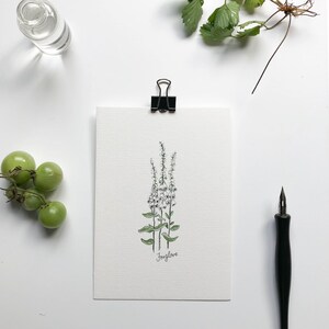 Conjunto de postales de flores de jardín de cabaña