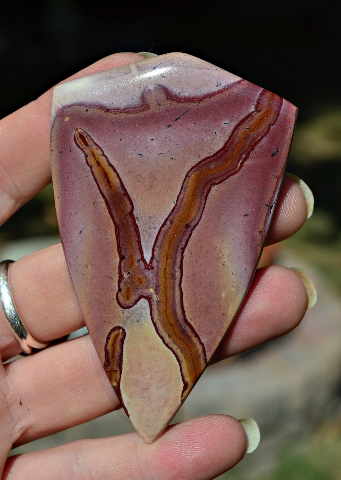 Large Indian Blanket Jasper Shield Cabochon Etsy