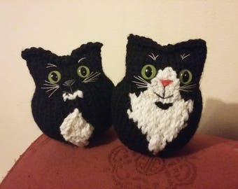 Tuxedo Cat