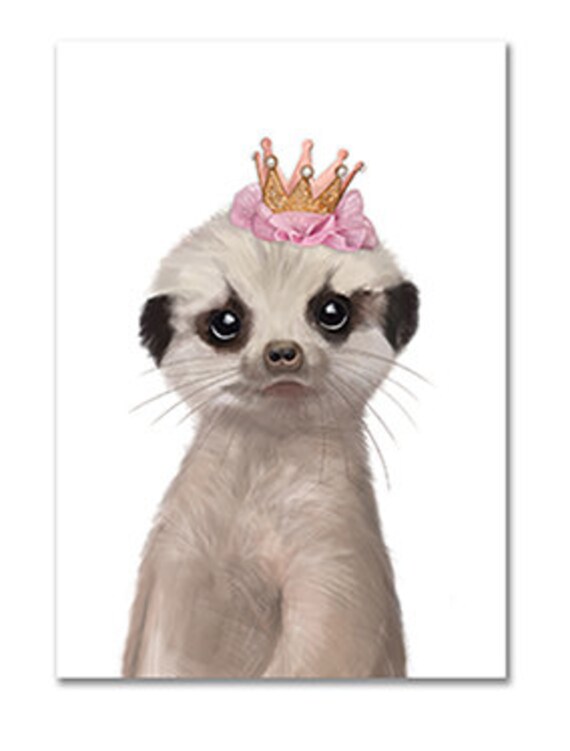 Cute Baby Meerkat Print Animal Wall Art Meerkat Wall Art Etsy Cute Baby Meerkat Print Animal Wall Art Meerkat Wall Art Etsy