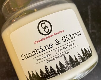 Sunshine & Citrus- 3 Wick Scented Soy Candle | Earthy Candle / Herbal Candle/ Gifts for Her / Gifts for Mom | 15.5oz