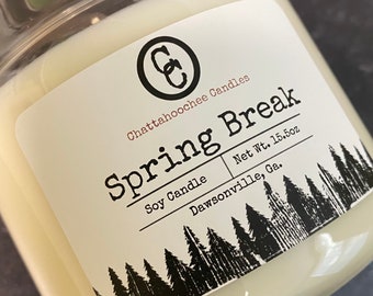 Spring Break- 3 Wick Scented Soy Candle | 15.5oz